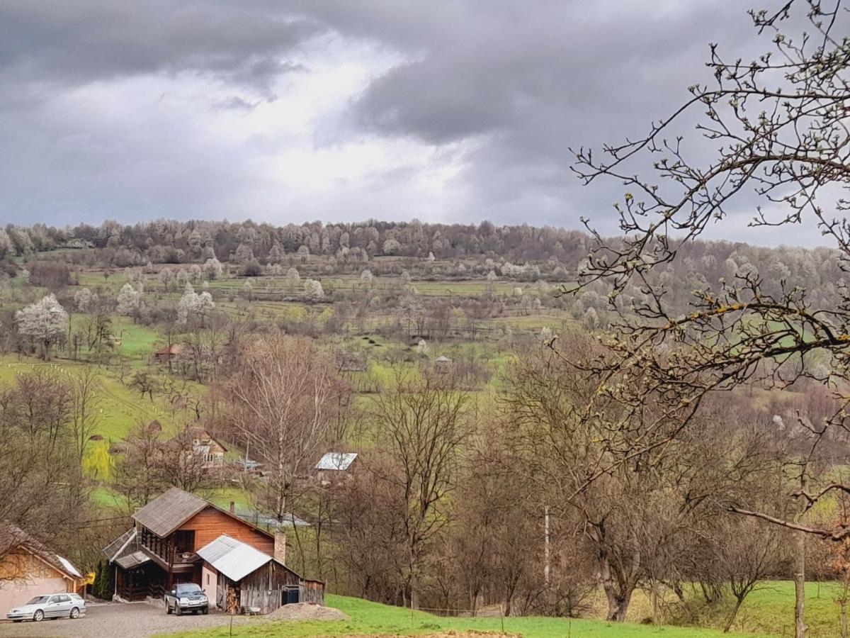Casa De La Ferma Mariuca Villa Berbesti Eksteriør bilde