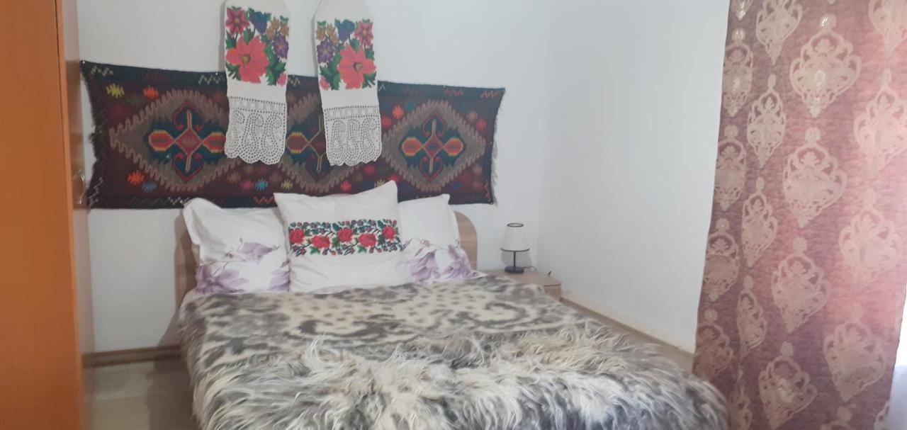Casa De La Ferma Mariuca Villa Berbesti Eksteriør bilde