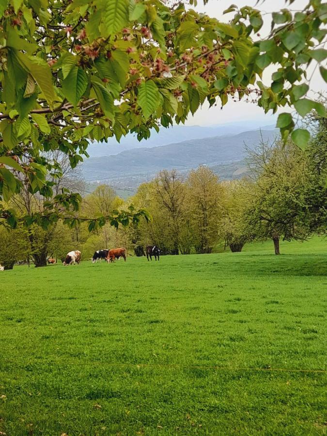 Casa De La Ferma Mariuca Villa Berbesti Eksteriør bilde