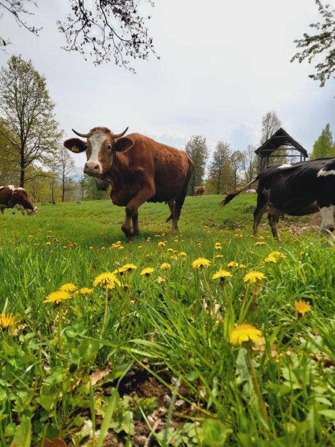 Casa De La Ferma Mariuca Villa Berbesti Eksteriør bilde